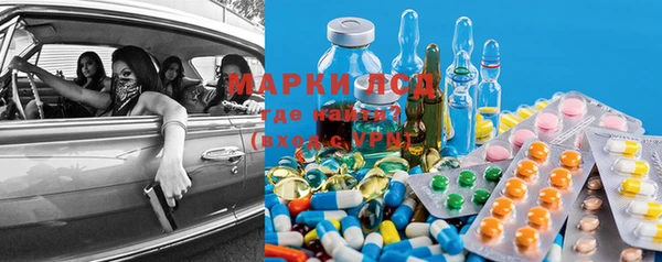 крисы Аркадак