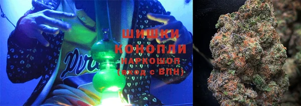 крисы Аркадак